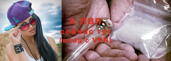 таблы Апатиты