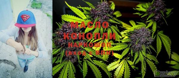крисы Анжеро-Судженск