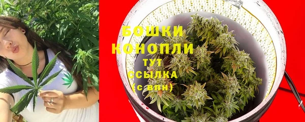 крисы Анжеро-Судженск