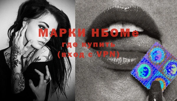 мет Алексин