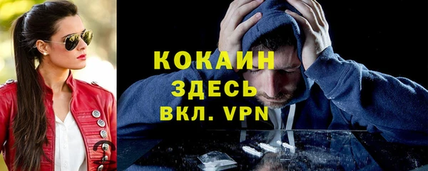 дживик Магас