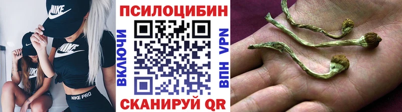 это как зайти Константиновск Псилоцибиновые грибы мицелий купить наркотик
